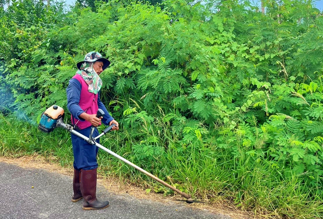 ปรับปรุงภูมิทัศน์ สายมะขามโพรง สายร่องแก้ว สายหนองแก่นหมู่ที่ 3 บ้านทางหวาย