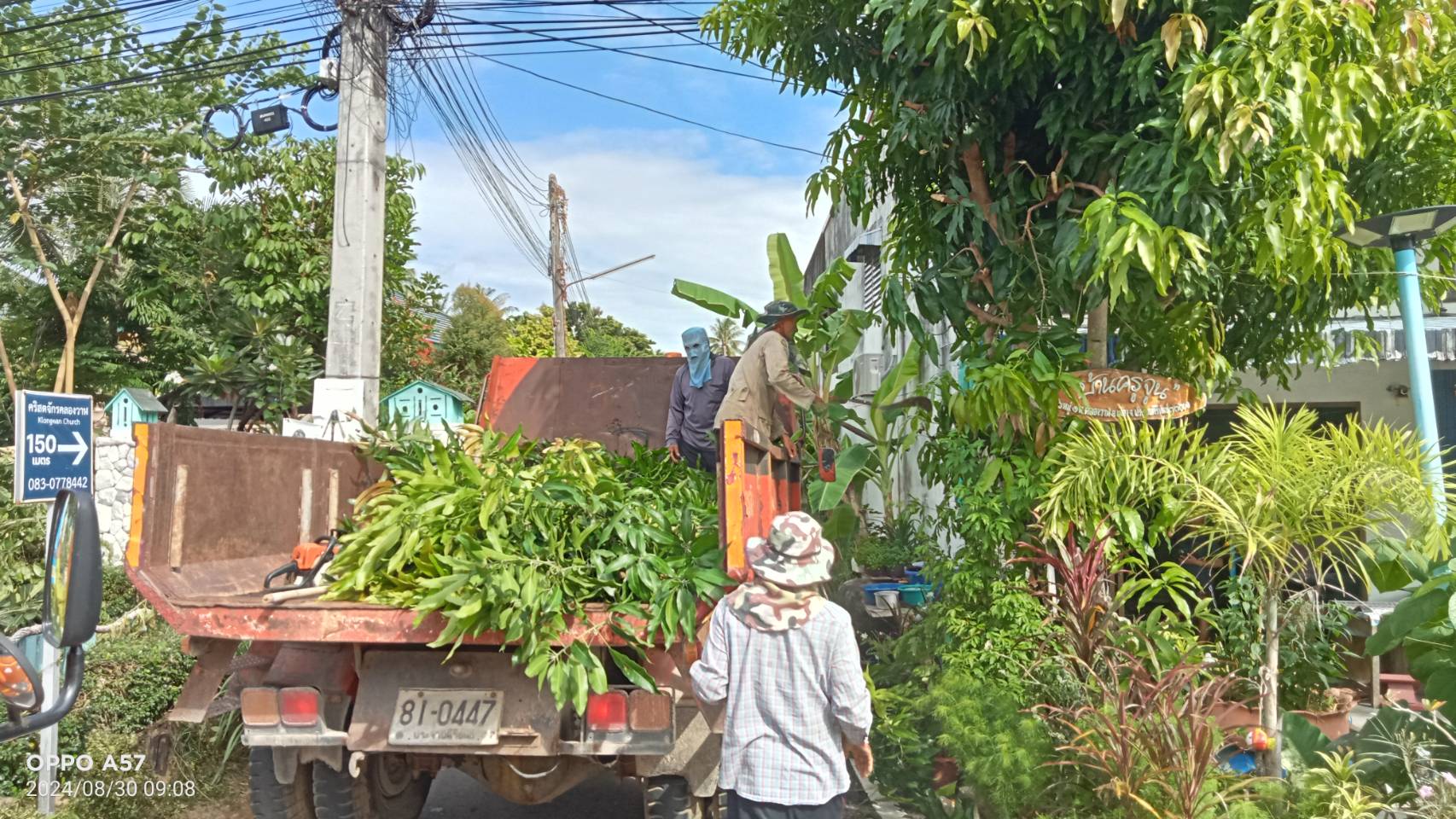 ปรับปรุงภูมิทัศน์ หมู่ที่ 1 บ้านคลองวาฬ