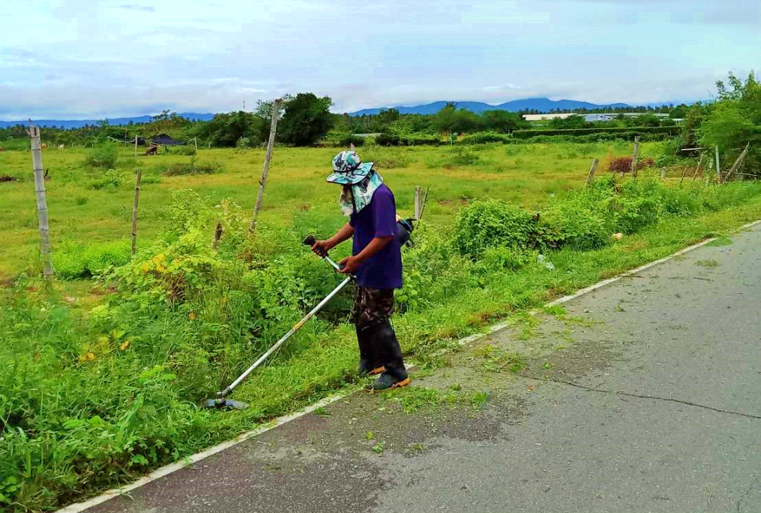 ปรับปรุงภูมิทัศน์ โดยการตัดหญ้าสองข้างทางซอยโรงอวน หมู่ที่ 1 บ้านคลองวาฬ ตำบลคลองวาฬ