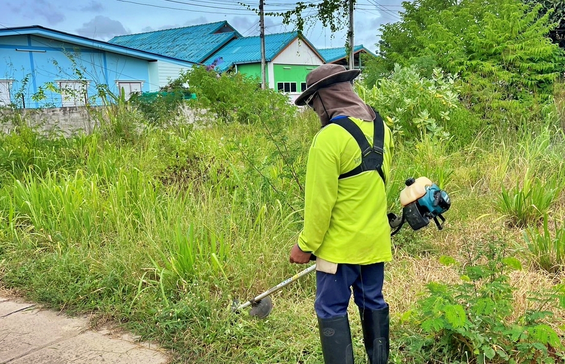 ปรับปรุงภูมิทัศน์ ซอยแอปเปิ้ล ซอยเหมือนฝัน 2 ซอยเหมือนฝัน 3 และสายคลองวาฬ-นาทอง หมู่ที่ 1 บ้านคลองวาฬ หมู่ที่ 8 บ้านนาทอง