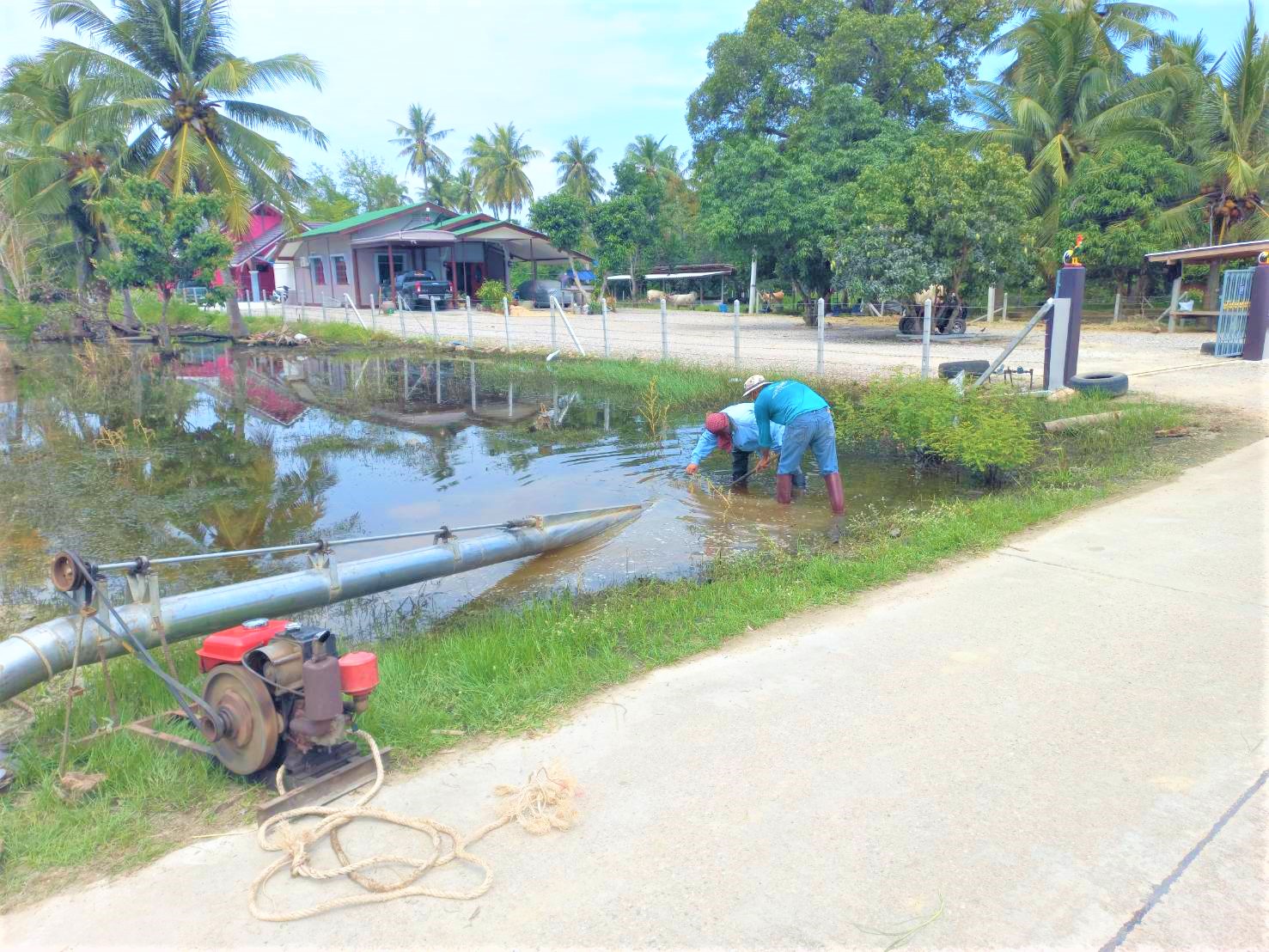 ช่วยเหลือชาวบ้านที่ประสบปัญหาน้ำท่วมขัง หมู่ที่ 2 บ้านหนองหิน