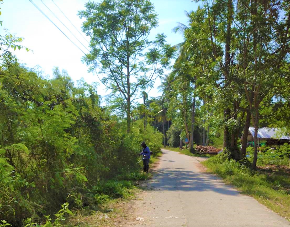 ปรับปรุงภูมิทัศน์ ซอยหนองสองห้อง หมู่ที่ 9 บ้านหนองน้ำขาว