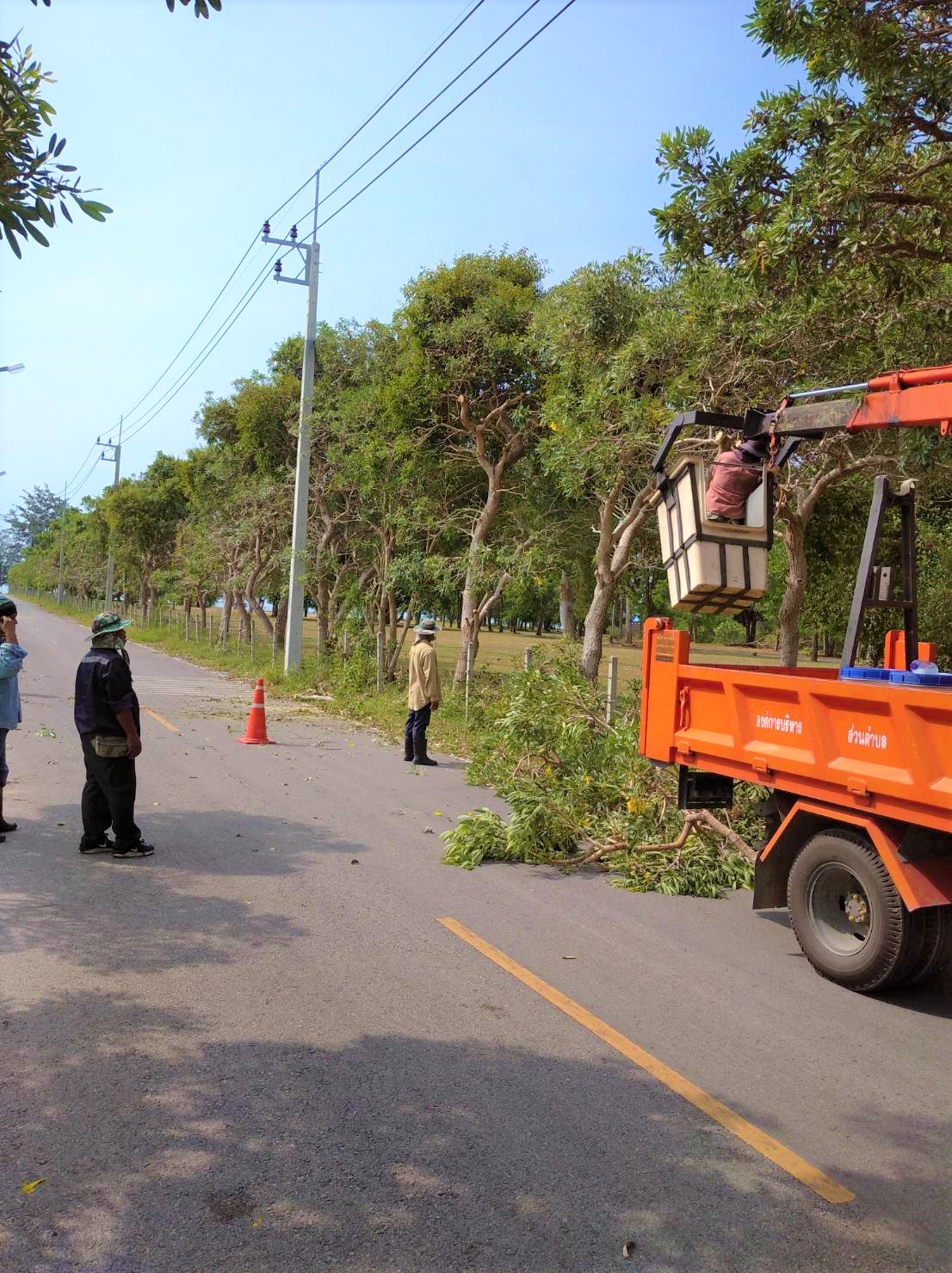 ปรับปรุงภูมิทัศน์สองข้างทางสายหน้าโรงเรียนบ้านหนองหิน หมู่ที่ 2 บ้านหนองหิน และสายหว้ากอ หมู่ที่ 4 บ้านหว้าโทน 