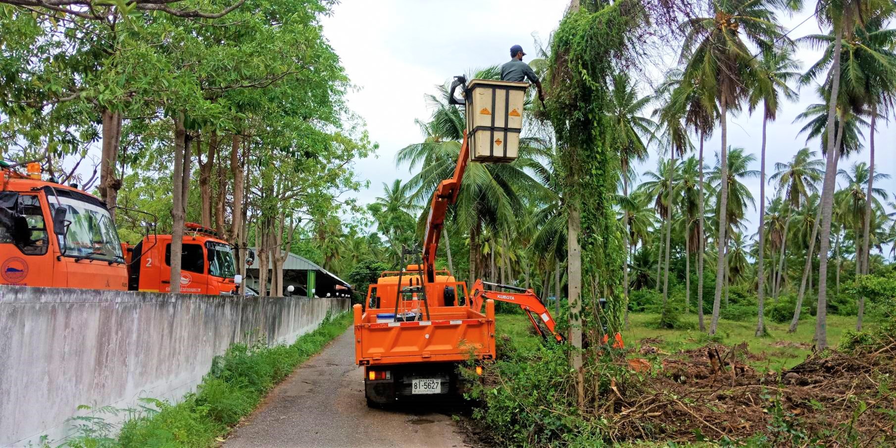 ปรับปรุงภูมิทัศน์ หมู่ที่ 9 บ้านหนองน้ำขาว