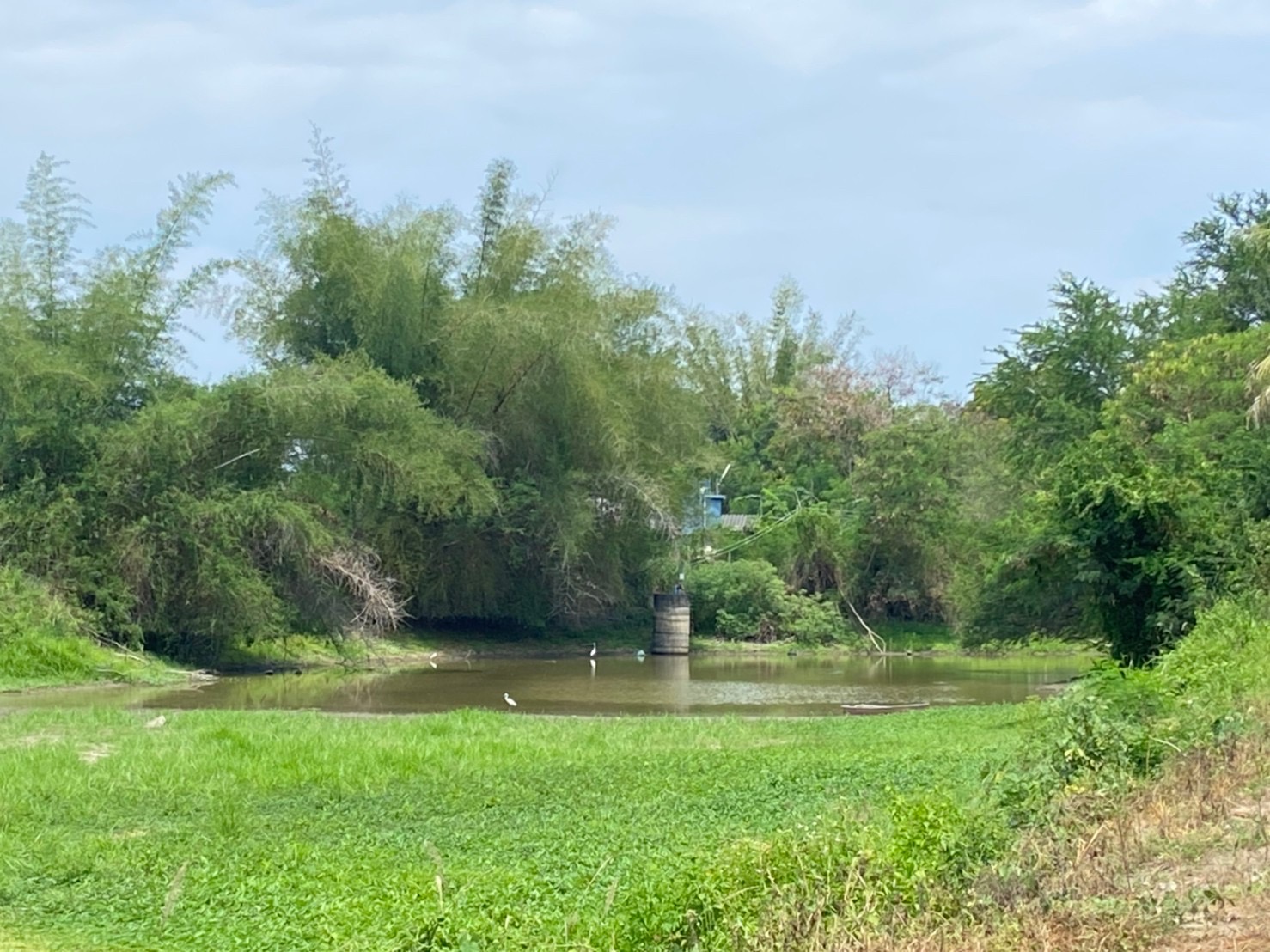 สำรวจน้ำเสียในชุมชน