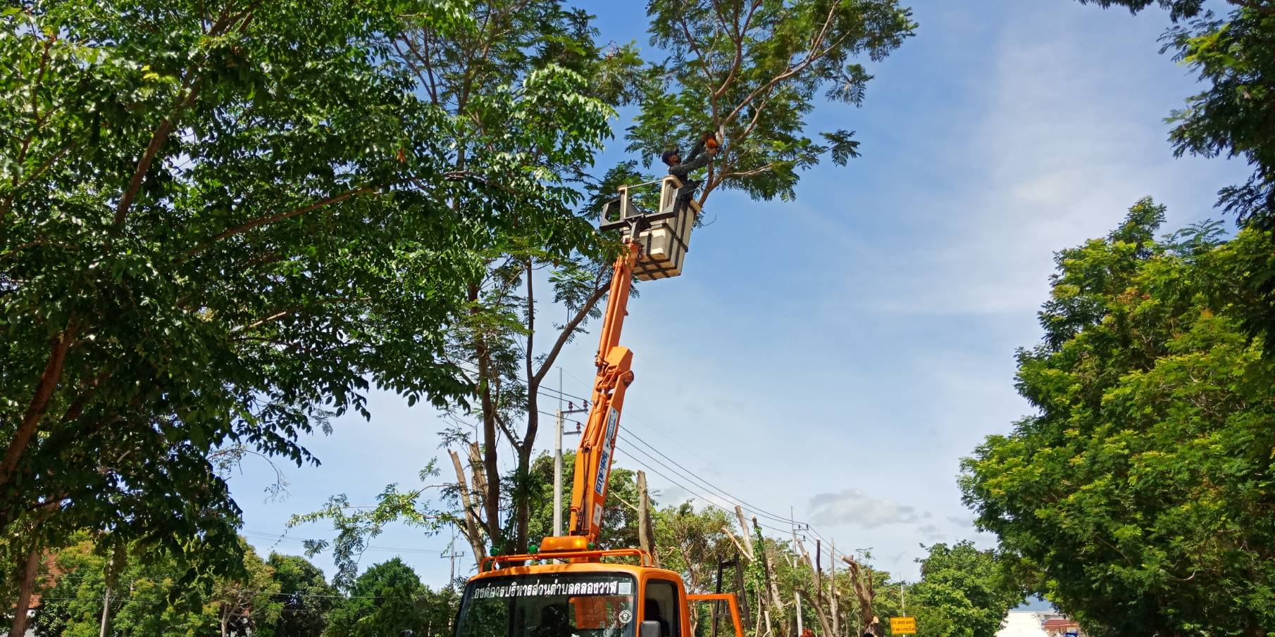 ปรับปรุงภูมิทัศน์ ถนนเส้นมหาราช หมู่ที่ 4 บ้านหว้าโทน