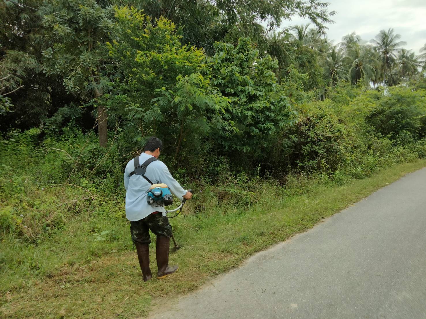 ปรับปรุงภูมิทัศน์ทางสายร่องแก้ว หมู่ที่ 3 บ้านทางหวาย