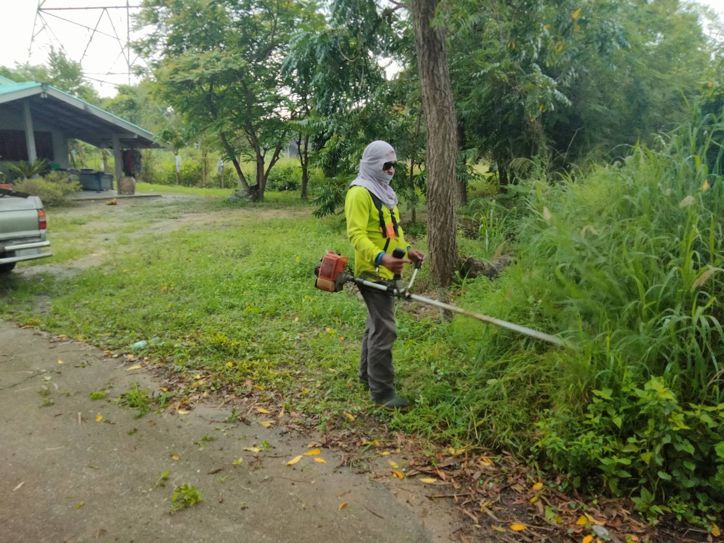 ปรับปรุงภูมิทัศน์ สายนางวิเชียร และซอยนายโชค  หมู่ที่ 5 บ้านห้วยใหญ่