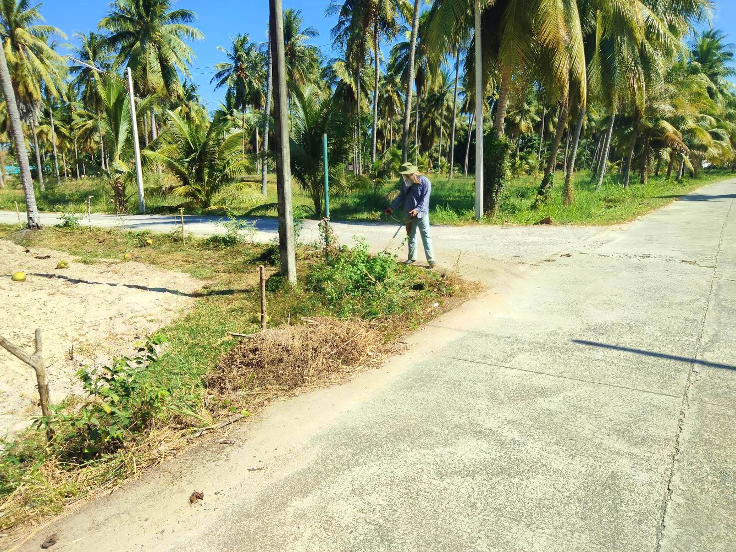 ปรับปรุงภูมิทัศน์สายมะขามเฒ่า หมู่ที่ 4 บ้านหว้าโทน 