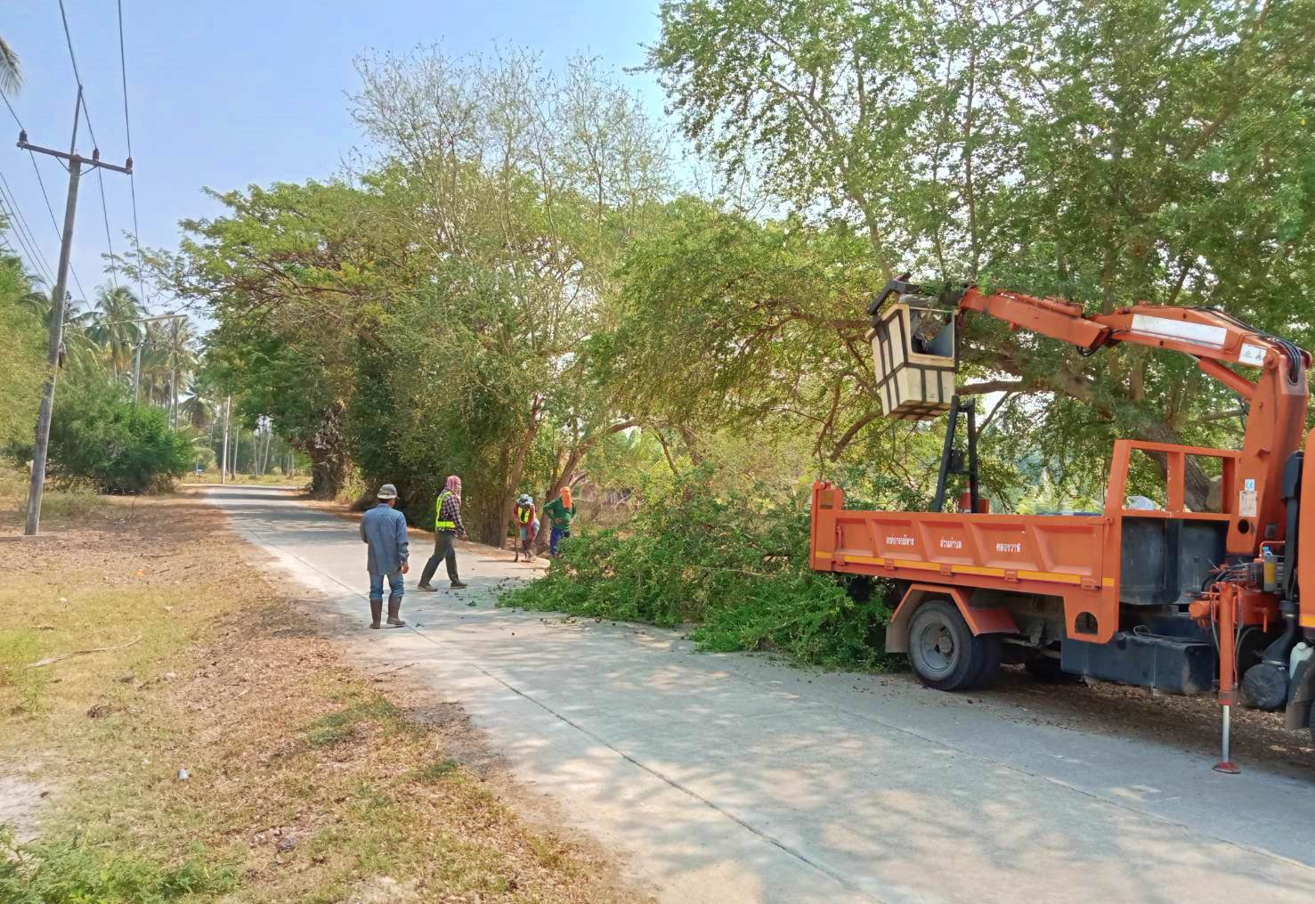 ปรับปรุงภูมิทัศน์ หมู่ที่ 3 บ้านทางหวาย