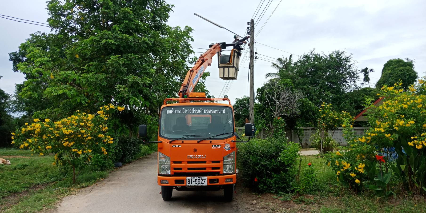 ซ่อมไฟฟ้าส่องสว่างสาธารณะที่ชำรุด ขัดข้อง ในเขตพื้นที่ หมู่ 4 บ้านหว้าโทน ตำบลคลองวาฬ