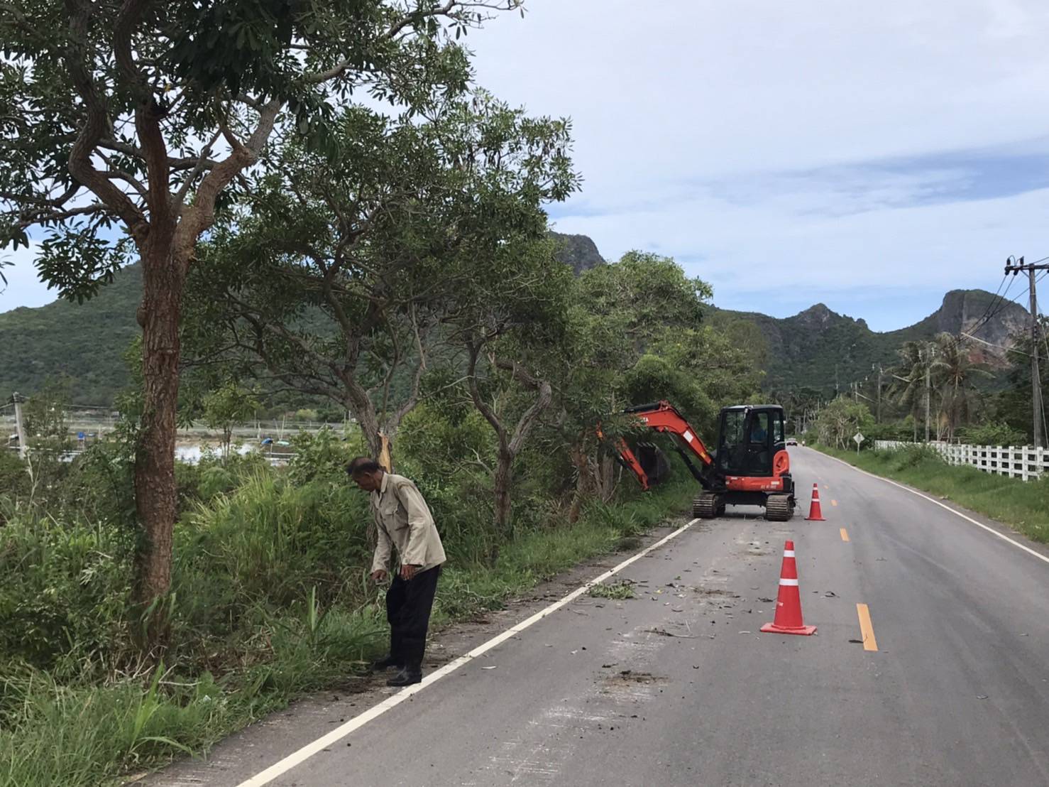 ปรับปรุงภูมิทัศน์สายคลองวาฬ-นาทอง และใต้สะพานคลองวาฬ