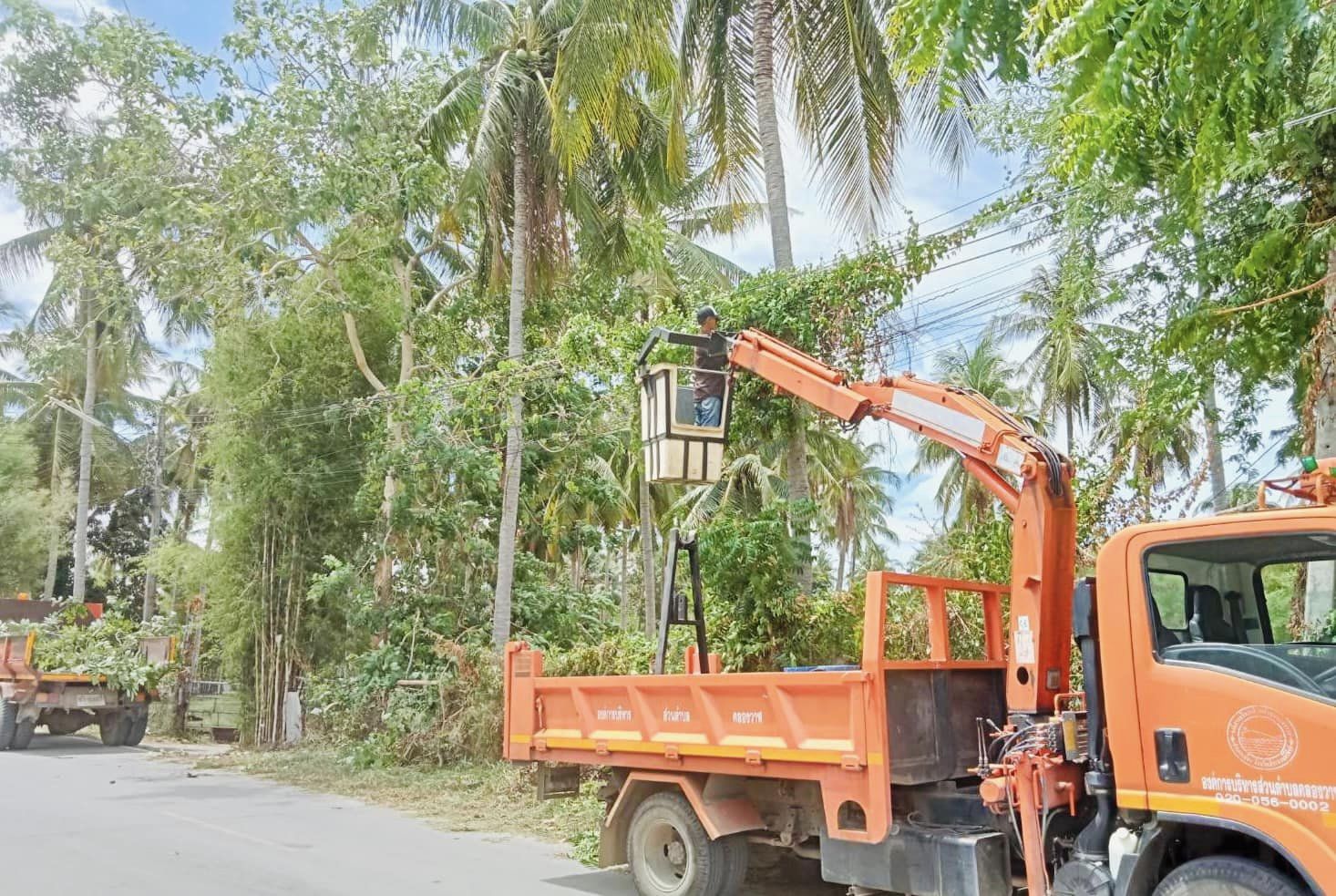 ปรับปรุงภูมิทัศน์ หมู่ที่ 1 บ้านคลองวาฬ