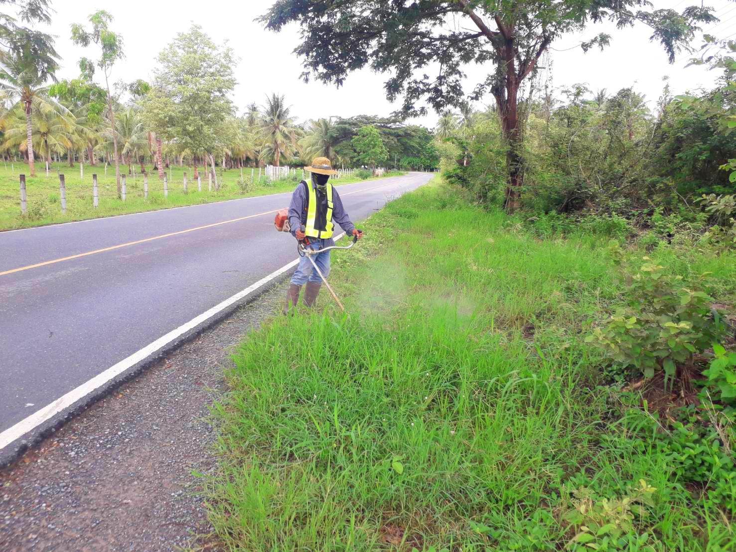 ปรับปรุงภูมิทัศน์สายมะขามโพรง,สายอุดม-ทางหวาย หมู่ที่ 3 บ้านทางหวาย