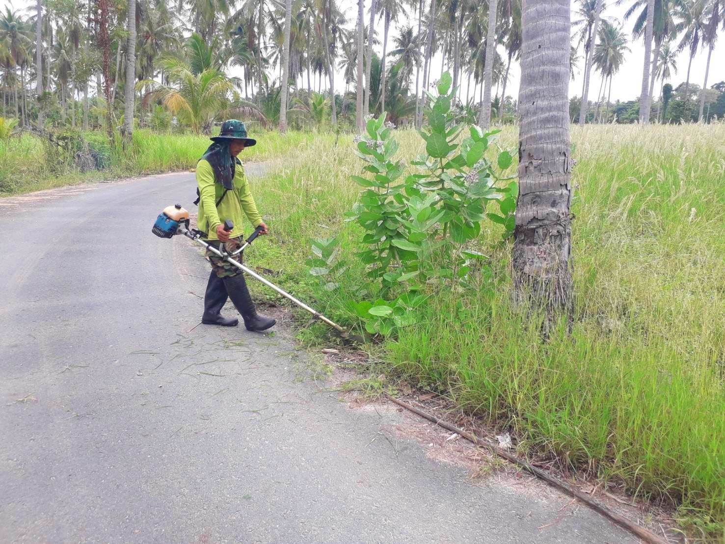 ปรับปรุงภูมิทัศน์ซอยเปลี่ยนเหมาะ-จันทรวงศ์,ซอยจันทรวงศ์-บุญพามี และซอยบุญเทียน หมู่ที่ 9 บ้านหนองน้ำขาว