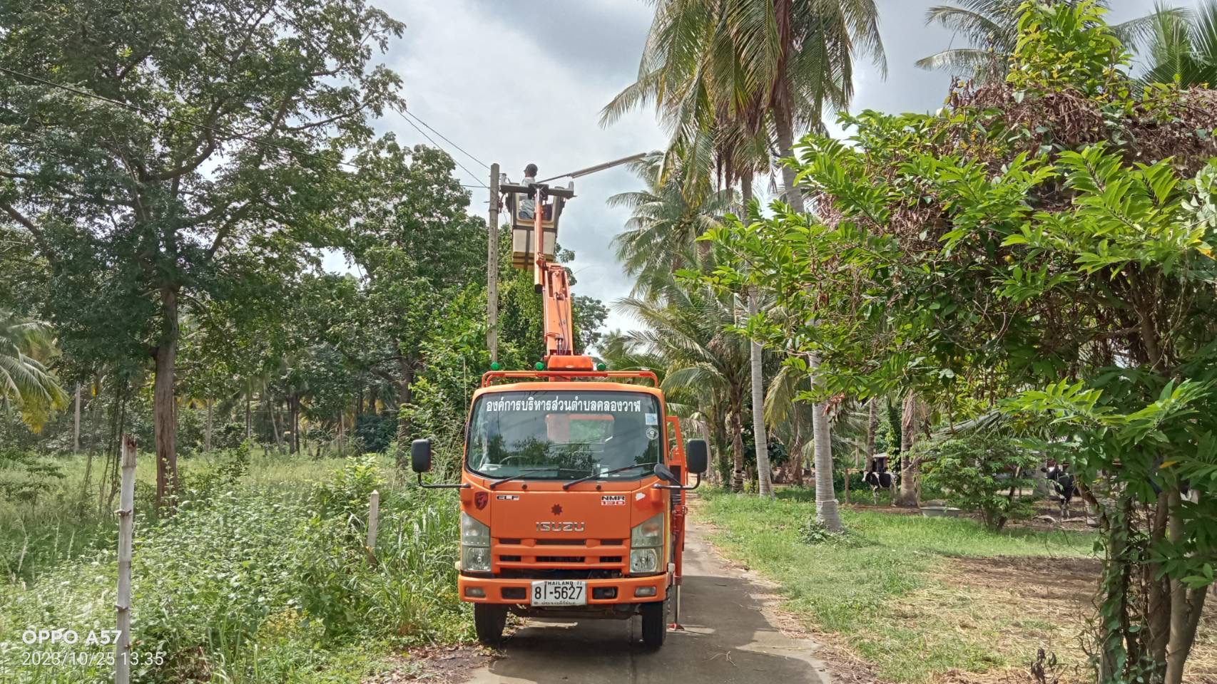 ซ่อม ไฟฟ้าส่องสว่างสาธารณะที่ชำรุด ขัดข้อง ในเขตพื้นที่ หมู่ที่ 5 บ้านห้วยใหญ่ ตำบลคลองวาฬ