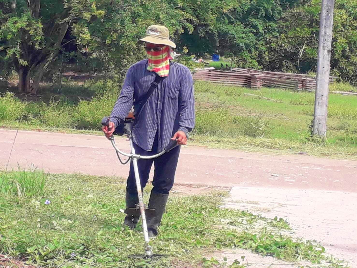 ปรับปรุงภูมิทัศน์สายแก้วเจริญ-สายแก้วเจริญ-หนองมะกรูด หมู่ที่ 9 บ้านหนองน้ำขาว