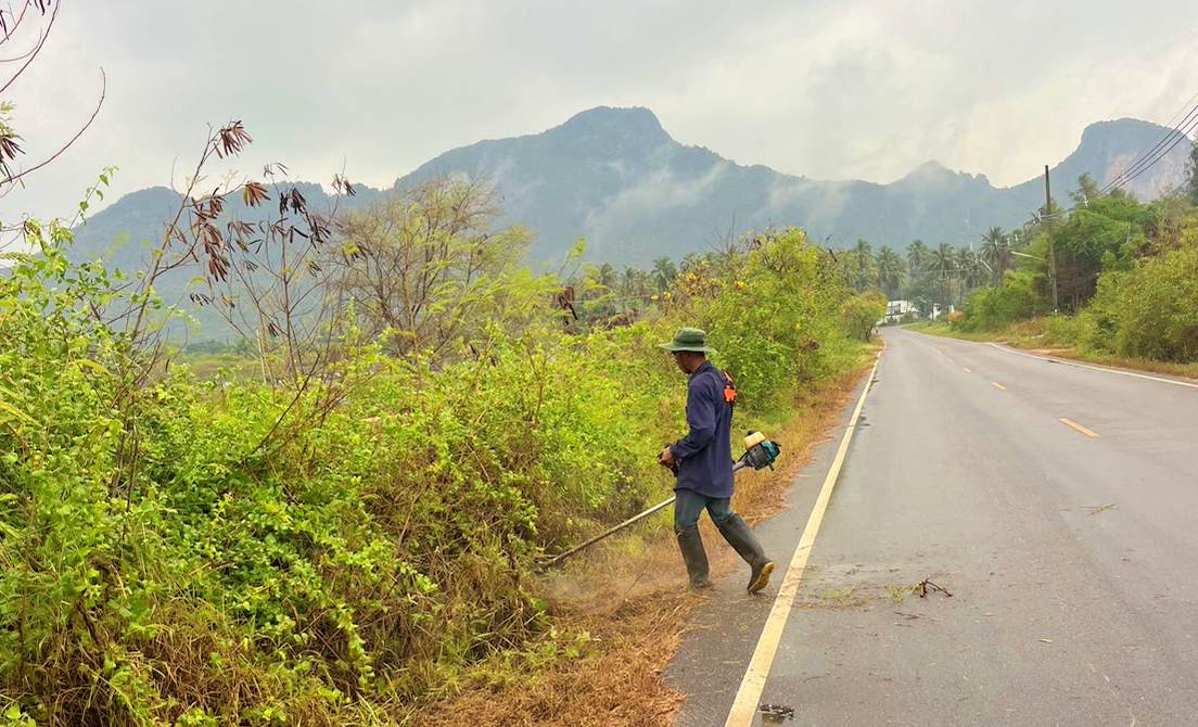 ปรับปรุงภูมิทัศน์สายสะพานขาว-กองบิน และสายนาทอง-คลองวาฬ หมู่ที่ 1 บ้านคลองวาฬ