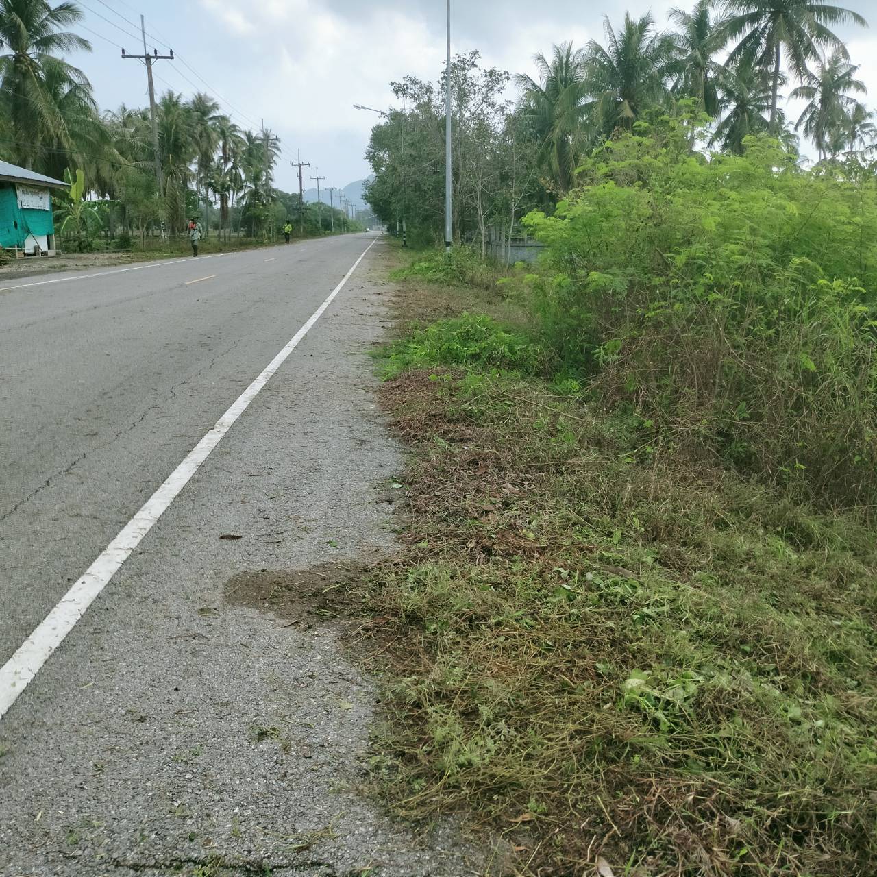 ปรับปรุงภูมิทัศน์สายเลียบชายทะเลหว้ากอ หมู่ที่ 4 บ้านหว้าโทน