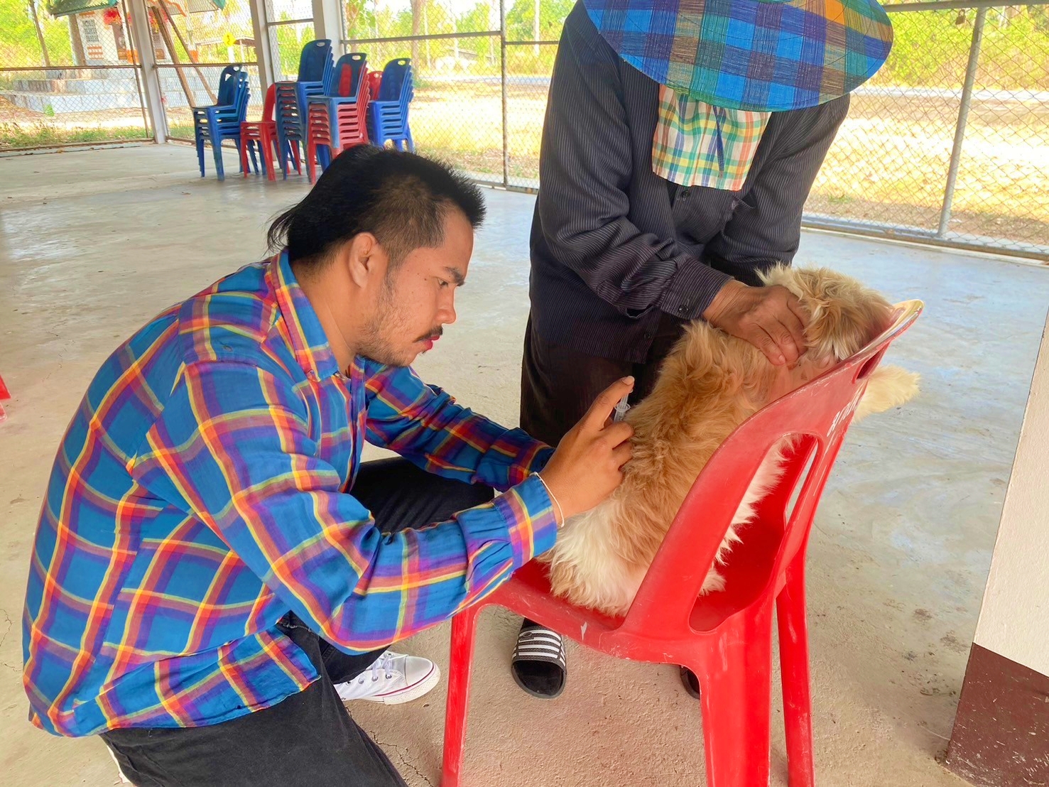 บริการฉีดวัคซีนป้องกัน โรคพิษสุนัขบ้า แก่สุนัขและแมวในเขตพื้นที่ หมู่ที่ 5 บ้านห้วยใหญ่ และหมู่ที่ 6 บ้านด่านสิงขร